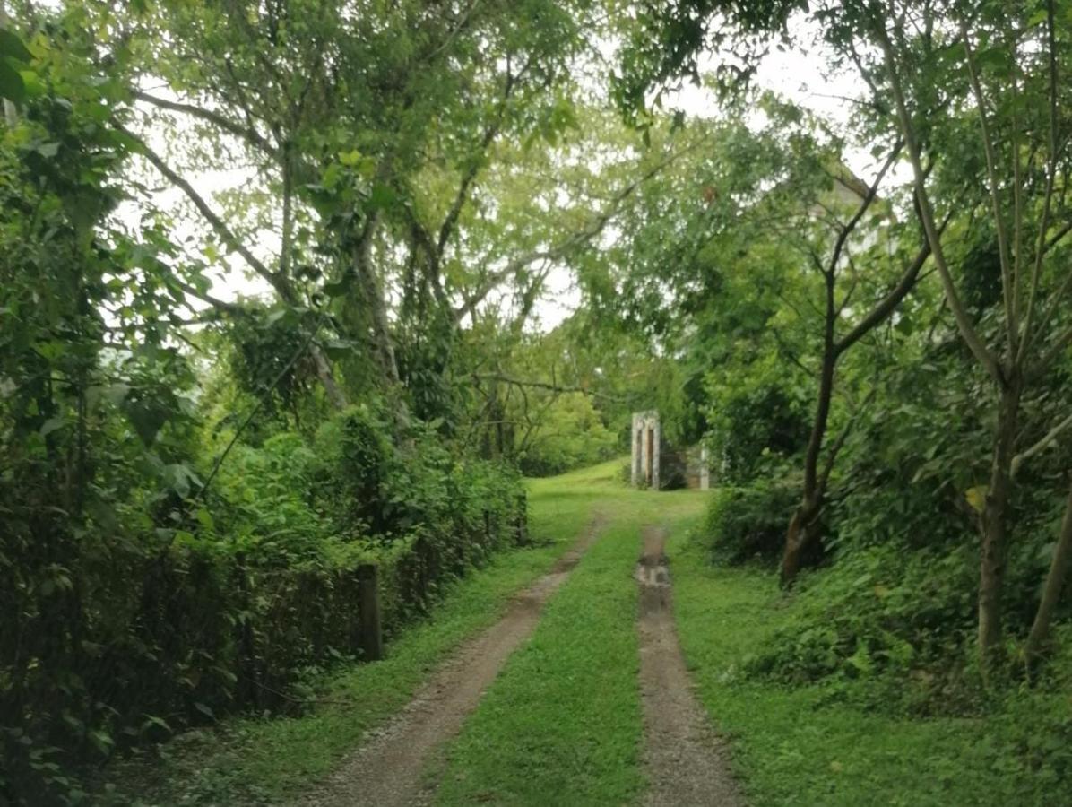 Casa Camino A Las Pozas Xilitla Exteriér fotografie